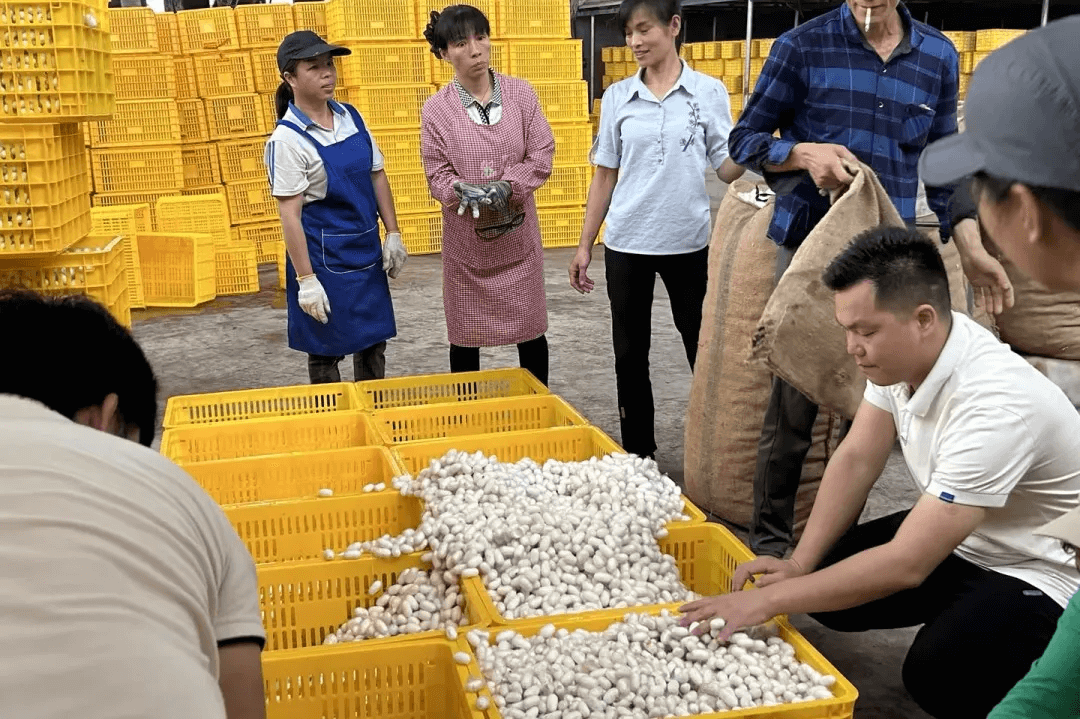 &#122;&#111;&#116;&#121;&#20013;&#27431;